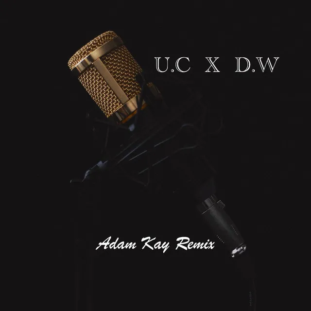 Adam Kay Remix