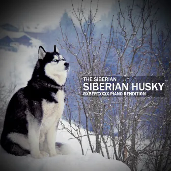 Siberian Husky - Rxbertxxxx Piano Rendition by Rxbertxxxx