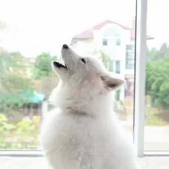 Oasis in Piano Rain: Dog Harmony Howls by Harmony River