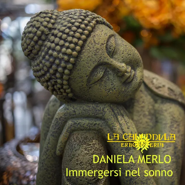 Daniela Merlo: Immergersi nel sonno