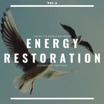 Energy Restoration - Tracks For Energy Balancing, Cleansing & Positivity, Vol.2 by Nirvana Cafe Ambient Healing Meditation Sounds