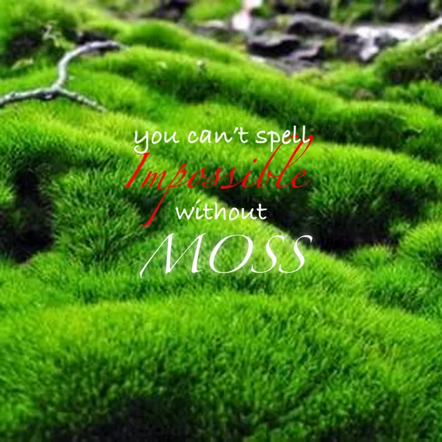 Moss