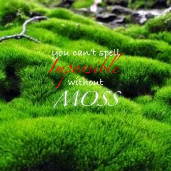 Moss by Wyoming Deez