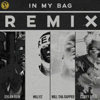 In My Bag (Remix) by Dylan Raw