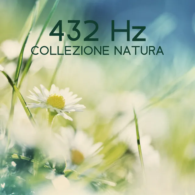 432 Hz Collezione natura: Serenità profonda in un giardino tranquillo