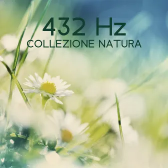 432 Hz Collezione natura: Serenità profonda in un giardino tranquillo by Suoni Naturali Zen