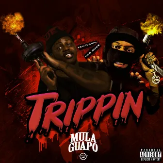 Trippin by Mula Guapo