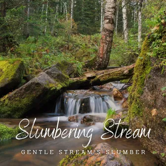 Slumbering Stream: Nature's Sleepscape by Slumber & Dreams