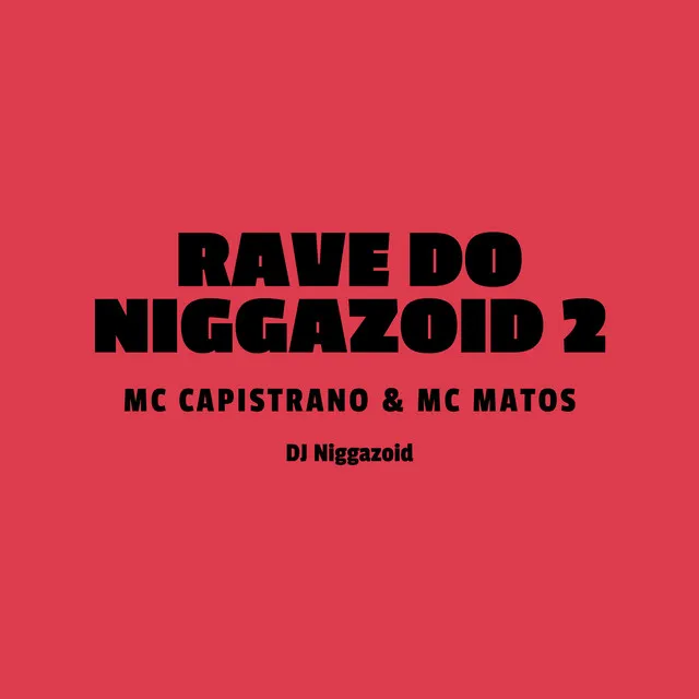 Rave do Niggazoid 2