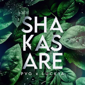 Shakasare by PVG