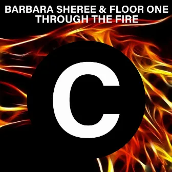 Through the Fire by Barbara Sheree