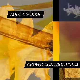 Crowd Control, Vol. 2 by Loula Yorke