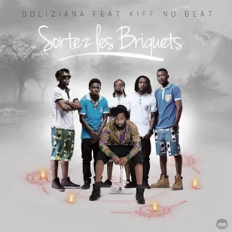 Sortez les briquets by Doliziana