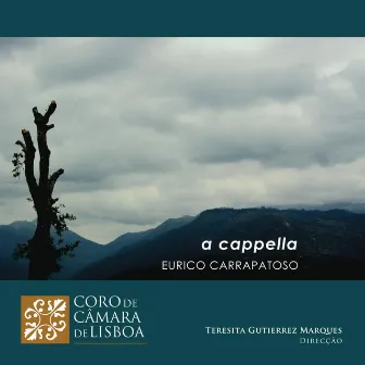 Eurico Carrapatoso: A Cappella by Coro de Câmara de Lisboa