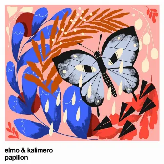 Papillon by elmo