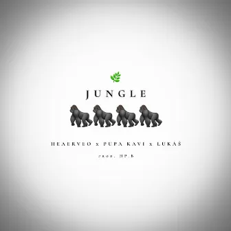 JUNGLE by LUKÁŠ