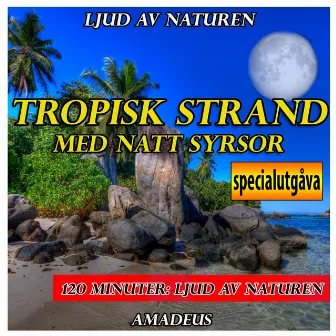 Tropisk strand med natt syrsor: ljud av naturen: specialutgåva by Amadeus