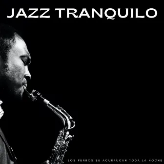 Jazz Tranquilo: Los Perros Se Acurrucan Toda La Noche by Listas de reproducción de jazz para perros