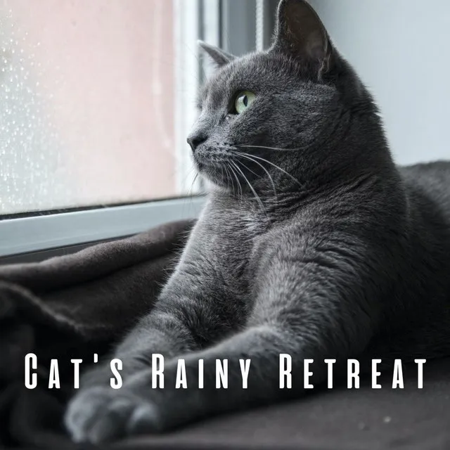 Relaxing Cat's Rainfall Symphony