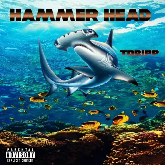 HammerHead by Tdripp