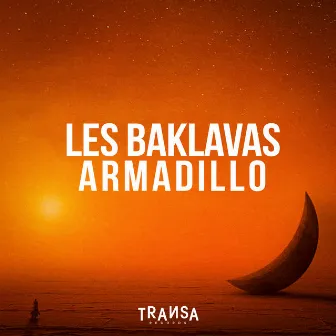 Armadillo by Les Baklavas