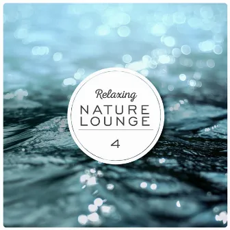 Relaxing Nature Lounge, Vol. 4 by Reginaldo Frazatto Jr.