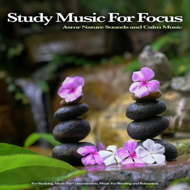 Music for Focus and Concentration