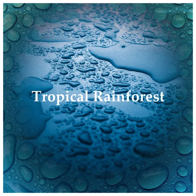 Tropical Rainforest