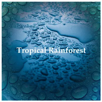 Tropical Rainforest by Relaxing Forest Sounds