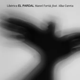 El pardal by Manel Fortia