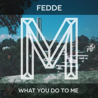 What You Do To Me by Fedde