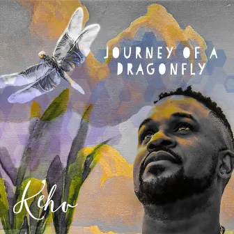 Journey of a Dragonfly by Kehv