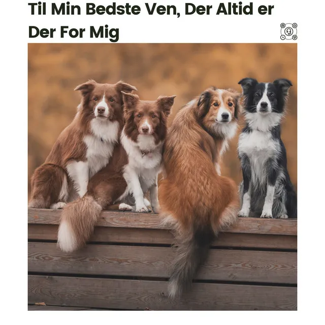 Beroligende musik til din hund, Pt. 29