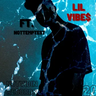 Life's A Wreck by LIL VIBE$