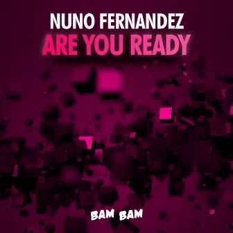 Are You Ready by Nuno Fernandez