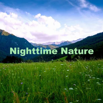 Nighttime Nature by Sound of Nature Library