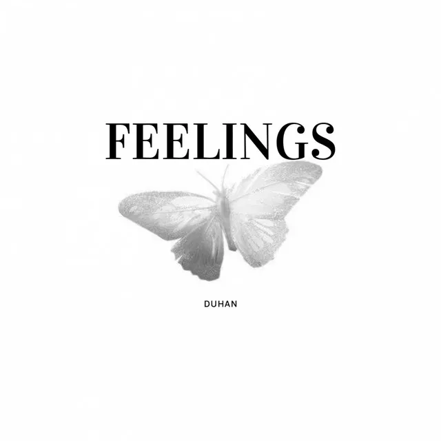 Feelings