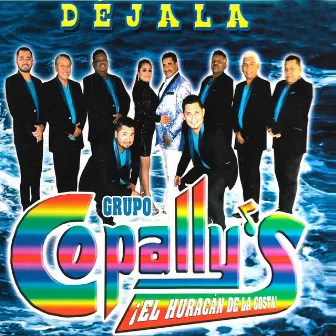 Dejala by Grupo Copally's