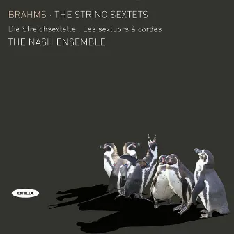 Brahms: The String Sextets by Nash Ensemble