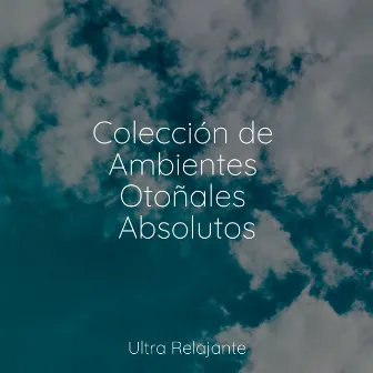 Colección de Ambientes Otoñales Absolutos by Dulces Sueños