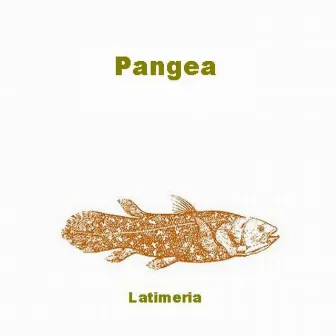 Latimeria by Pangea