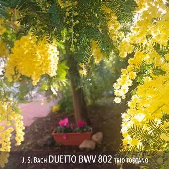 Duetto in E-Flat Major, BWV 802 (Per flauto e organo) by Trio Toscano