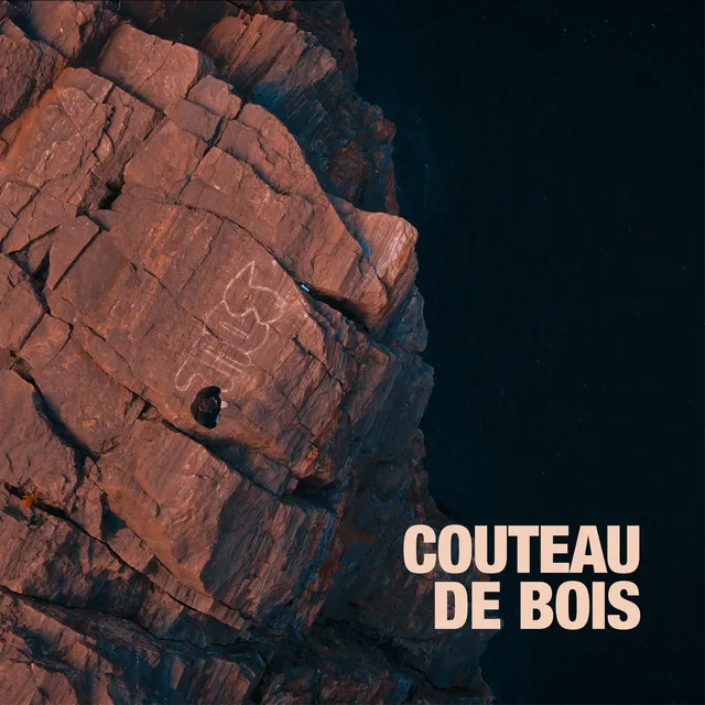 Couteau de bois