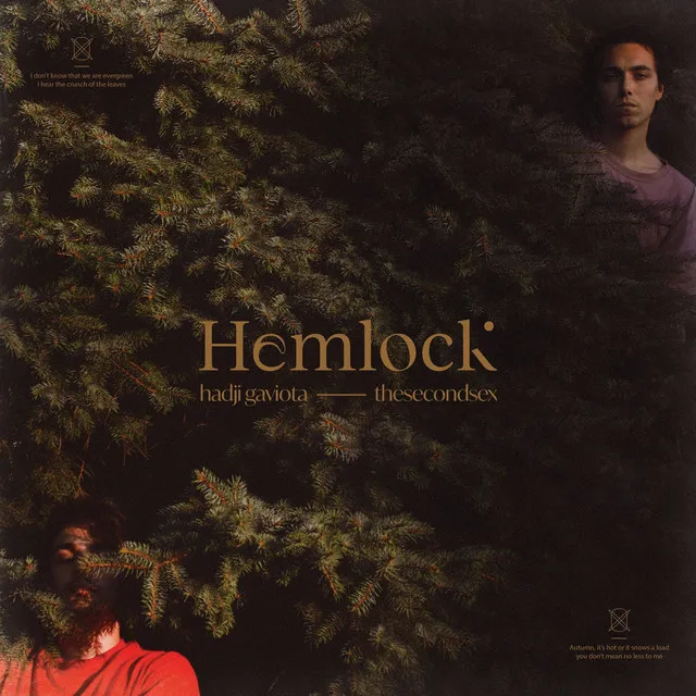 Hemlock