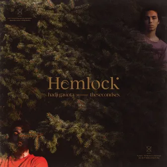 Hemlock by Hadji Gaviota