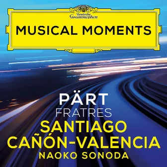 Pärt: Fratres (Version for Cello and Piano) [Musical Moments] by Naoko Sonoda