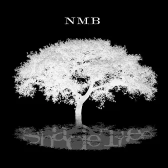 Shade Tree - Single by Nick Moss Band