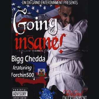 Going Insane by Bigg Chedda