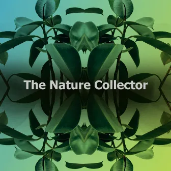 The Nature Collector by The Nature Sound Collector