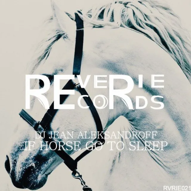 If Horse Go to Sleep - Original Mix